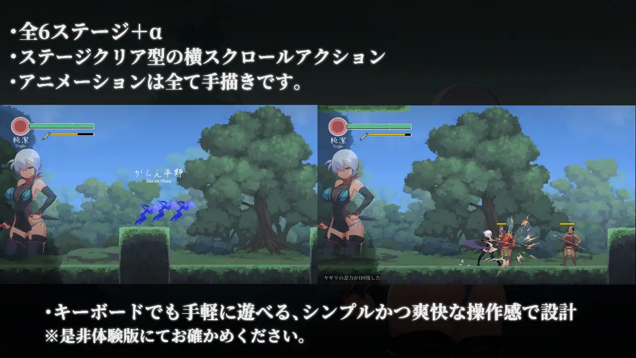 新作[动作ACT/异种/X/虐待] 复仇的夜雾 復讐の夜霧 官中版 [450M]